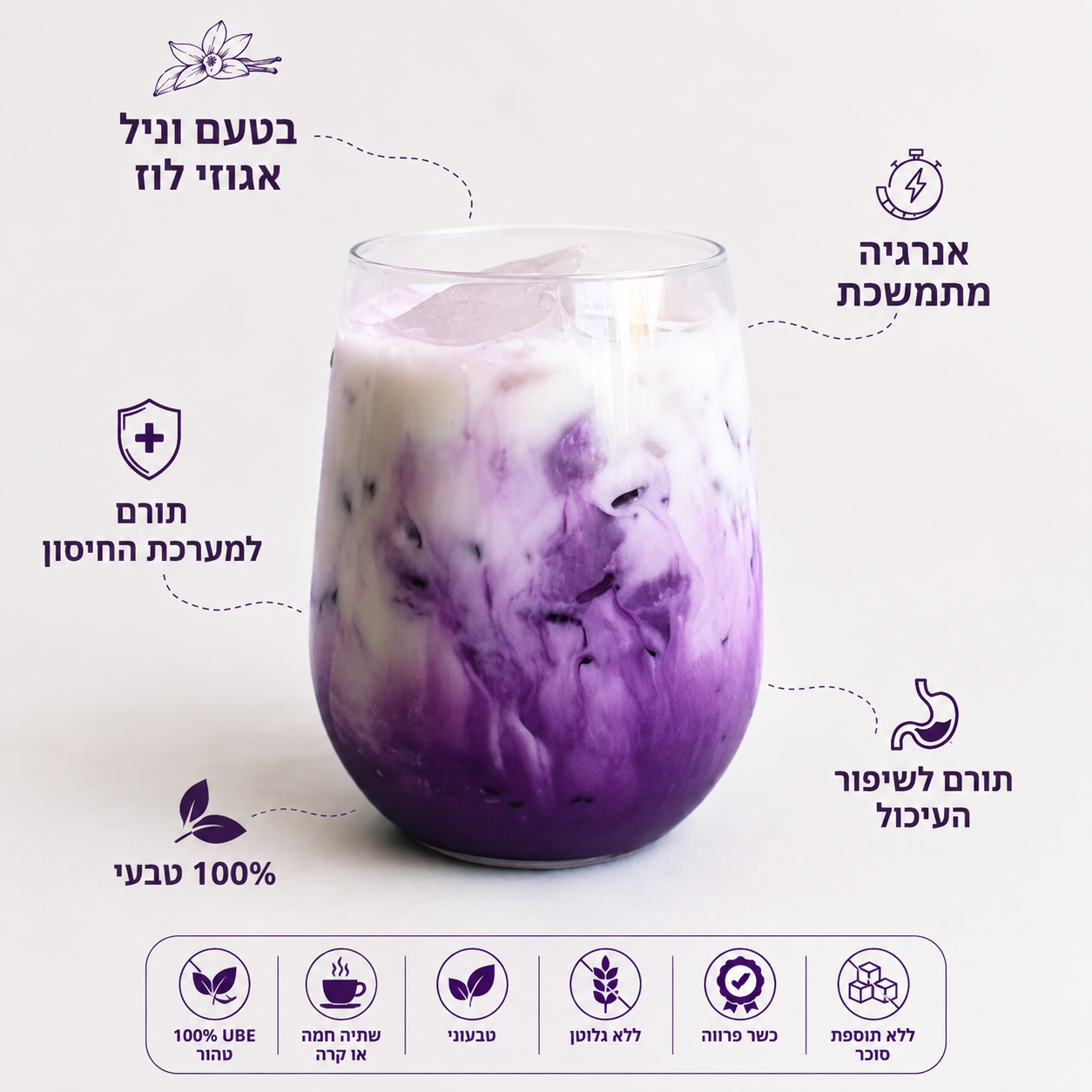 Ube Powder 100g